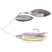 Shad Spawn