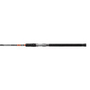 SHIMANO COMBAT CAT SPINNING-1