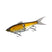 N Gold Shiner