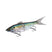 Sexy Shad FB