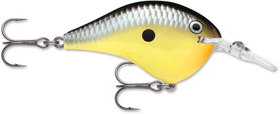 Rapala Dives-To 16 Series Parrot
