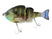 #01 Real Bluegill