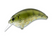 Olive Craw