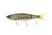 Real Smallmouth