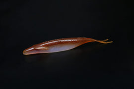 Buy 161-r-r-wakasagi DEPS SAKAMATA SHAD