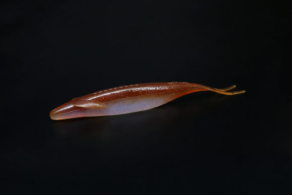 DEPS SAKAMATA SHAD