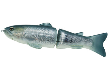 #18 Butch Brown Gizzard Shad
