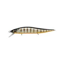 Buy glx-bolt MEGABASS VISION ONETEN JR