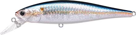 Buy ms-american-shad LUCKY CRAFT POINTER 100