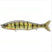 Yellow Perch