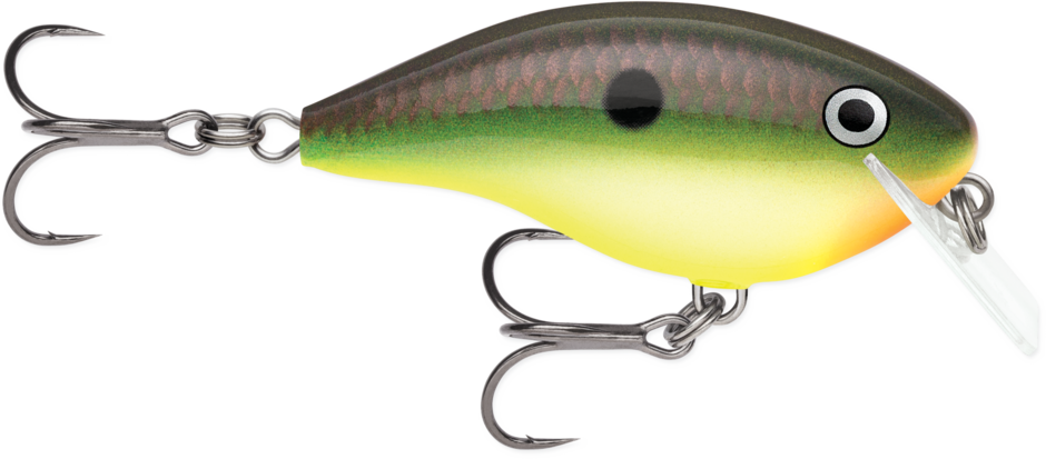 Buy hot-copper-green-shad RAPALA OG BIG ROCCO