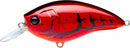 YO-ZURI SDR-X CRANK SR (SHALLOW RUNNER)-6