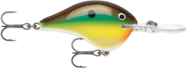 Buy bream RAPALA DT SERIES CRANKBAITS / DT14 - DT20