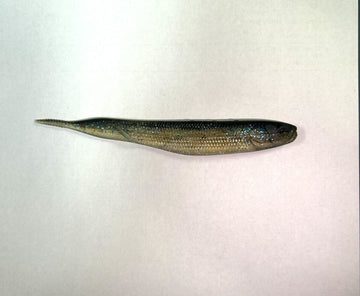 MISSILE BAITS FREEDOM FLYER - 0