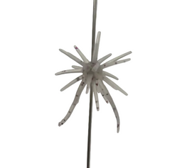 Buy 242-ebi-dappi HIDEUP COIKE MICRO