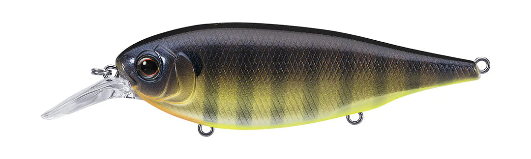 Buy bluegill-chart-belly EVERGREEN XV-5