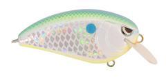 Buy citrus-shad SPRO FAT JOHN 60