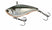 Ghost Pearl Shad