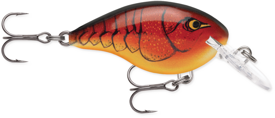 Buy classic-craw RAPALA DT SERIES CRANKBAITS / DT4 - DT6