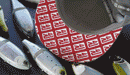 SWIMBAIT REPUBLIC FLAT CAP-2
