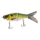 SPRO KGB CHAD SHAD 120 LIL GUY-1