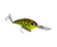 Chart Belly Craw