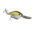 Sexy Blueback Herring