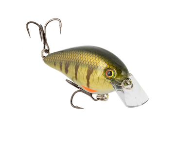 Buy pro-phantom-perch STRIKE KING KVD ELITE 2.5 SQUAREBILL
