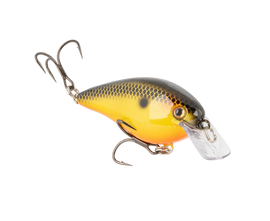 Buy fools-gold STRIKE KING KVD ELITE 2.5 SQUAREBILL