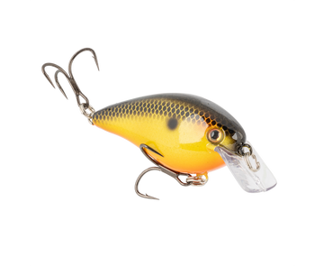 Buy fools-gold STRIKE KING KVD ELITE 2.5 SQUAREBILL