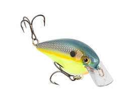 Buy chart-sexy-shad-2-0 STRIKE KING KVD ELITE 2.5 SQUAREBILL