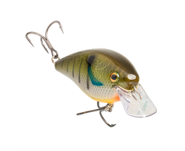 Buy sunny STRIKE KING KVD ELITE 2.5 SQUAREBILL