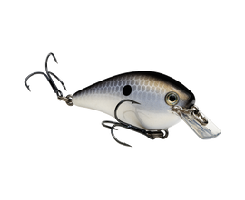 Buy gizzard-shad STRIKE KING KVD 1.0 SQUAREBILL