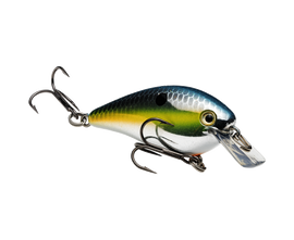 Buy chrome-sexy-shad STRIKE KING KVD 1.5 SQUAREBILL