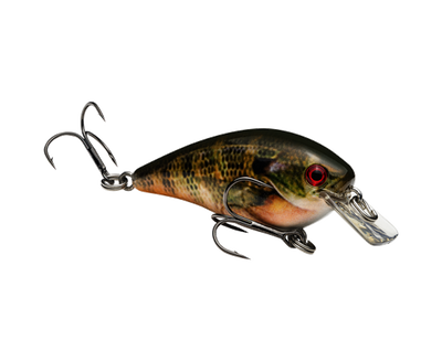STRIKE KING KVD 1.0 SQUAREBILL