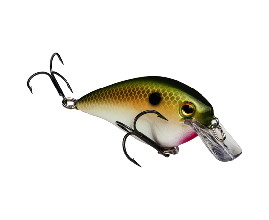 STRIKE KING KVD 2.5 SQUAREBILL
