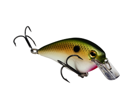 Buy tennessee-shad STRIKE KING KVD 2.5 SQUAREBILL