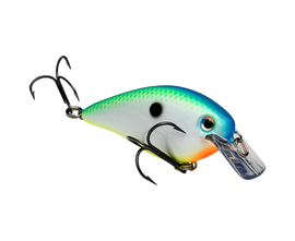Buy citrus-shad STRIKE KING KVD 1.5 SQUAREBILL