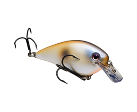 Buy oyster STRIKE KING KVD 1.5 SQUAREBILL