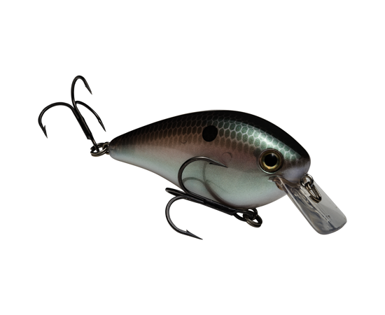 STRIKE KING KVD 2.5 SQUAREBILL