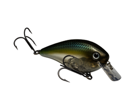 Buy sexy-ghost-minnow STRIKE KING KVD 2.5 SQUAREBILL