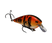 DB Craw