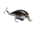 Natural Shad