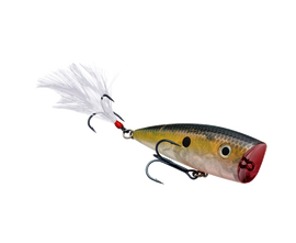 STRIKE KING KVD SPLASH TOPWATER