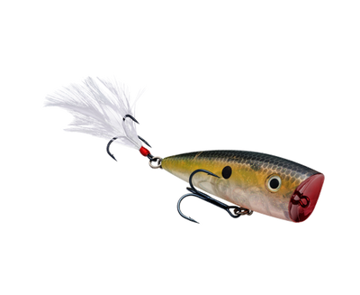 STRIKE KING KVD SPLASH JR TOPWATER