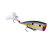 Sexy Shad