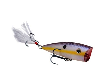Buy chartreuse-shad STRIKE KING KVD SPLASH JR TOPWATER