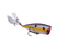 Chartreuse Shad