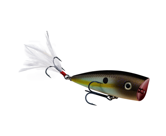 STRIKE KING KVD SPLASH TOPWATER