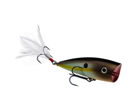 Buy summer-sexy-shad STRIKE KING KVD SPLASH TOPWATER